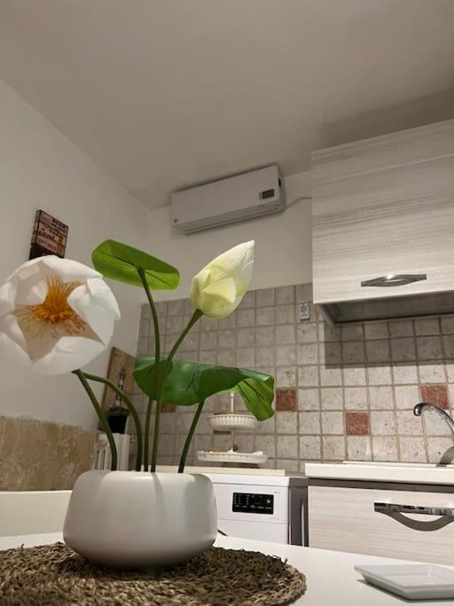 Casa Vacanze “Da Concetta” Bari Extérieur photo